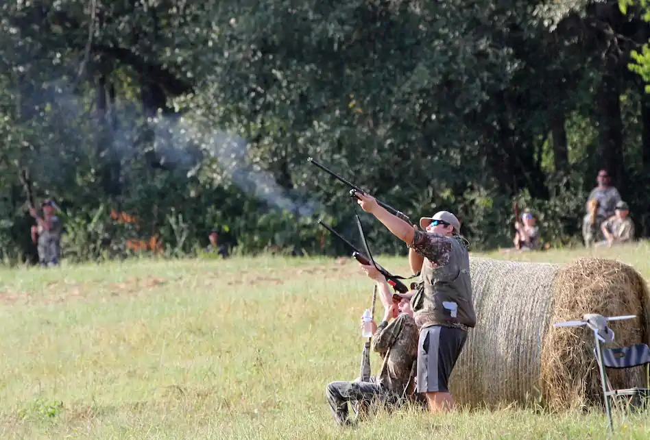 alabama dove hunting